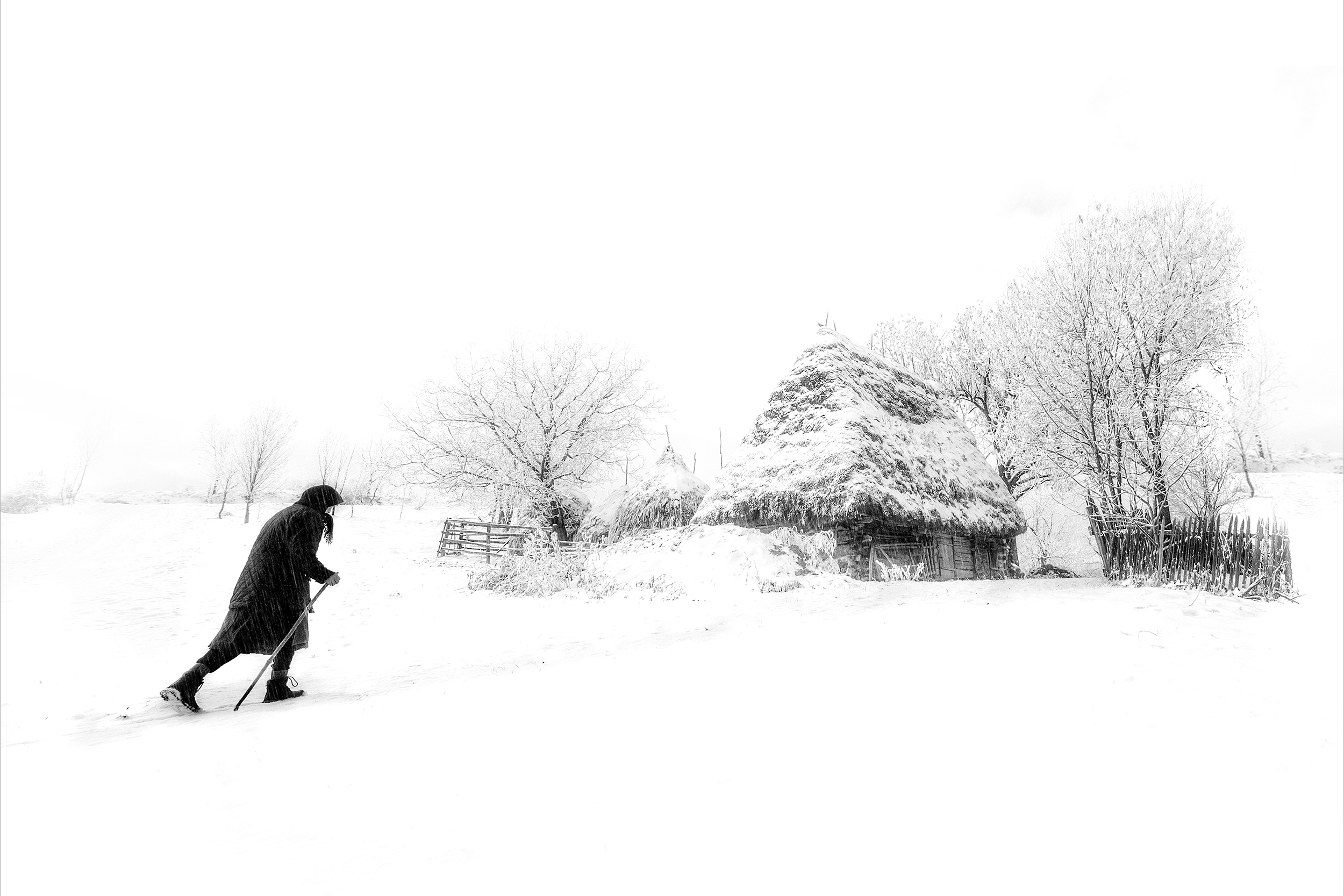 SILVER MEDAL ŽWS 2021 - SECTION B - DOCUMENT, © Ede Tordai, Romania, Winter in the country, www.zenastrakonice.cz, www.fotokontakt.cz